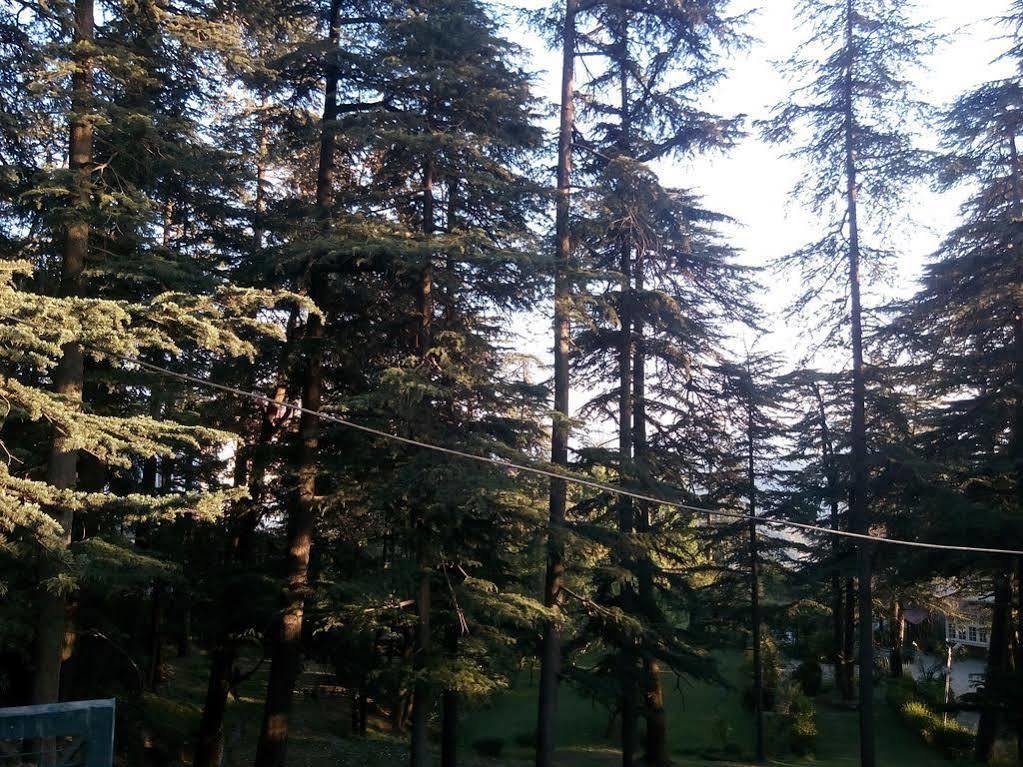 Torrentium Lodge Shimla Exterior foto